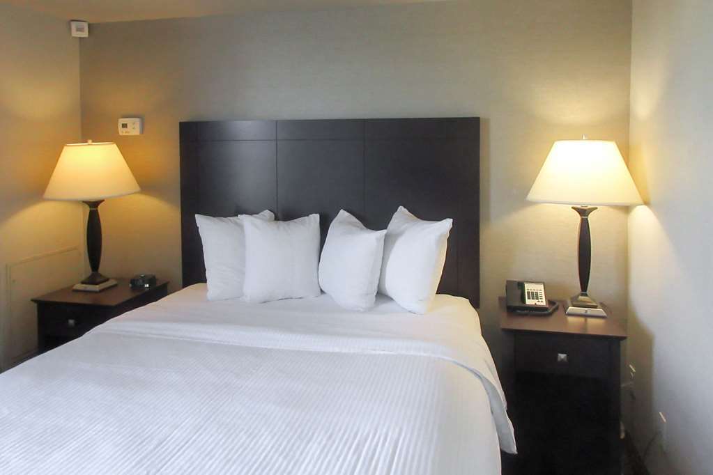 Comfort Inn & Suites Glen Mills - West Chester Room photo